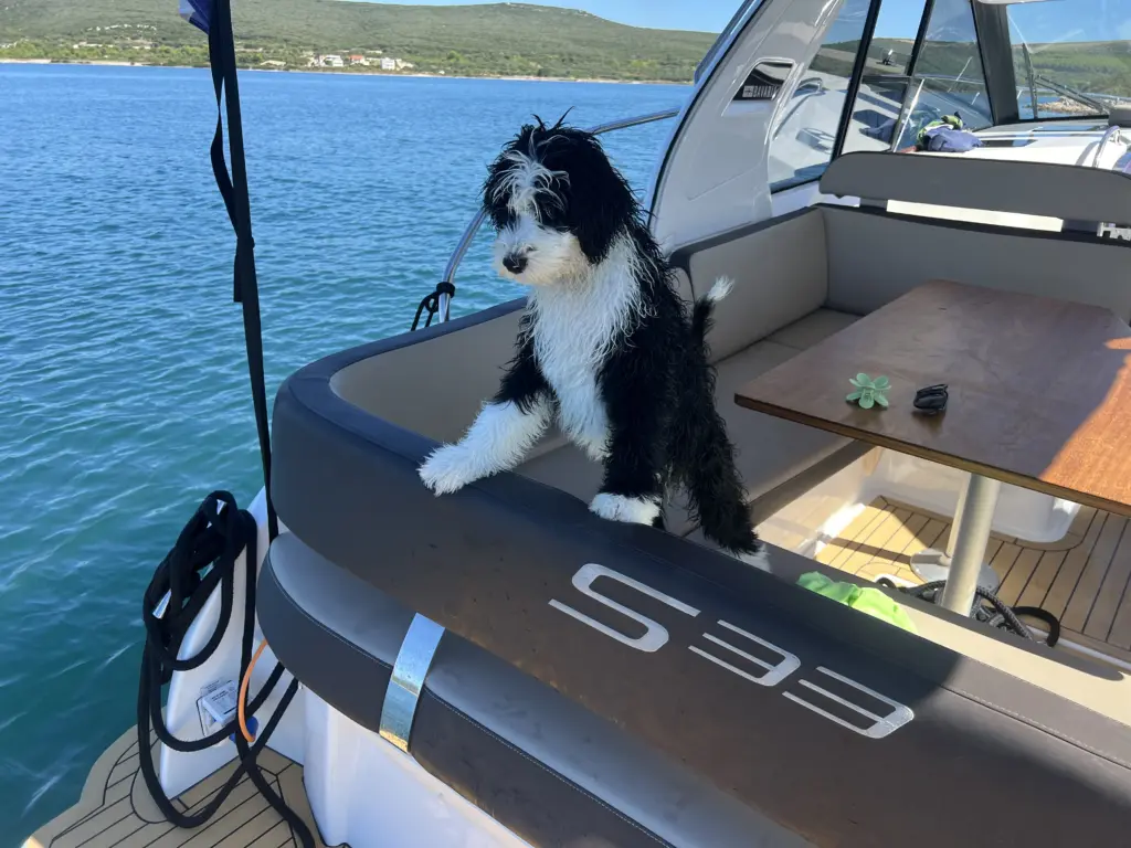 motor yacht rental Biograd Croatia