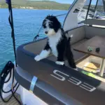motor yacht rental Biograd Croatia